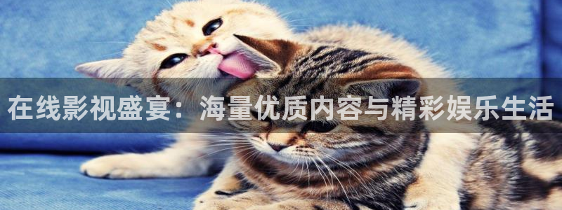 仙台有树电视剧策驰影院