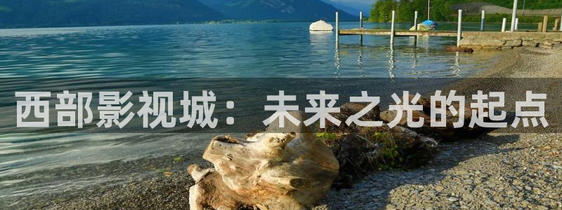 在线影院策驰